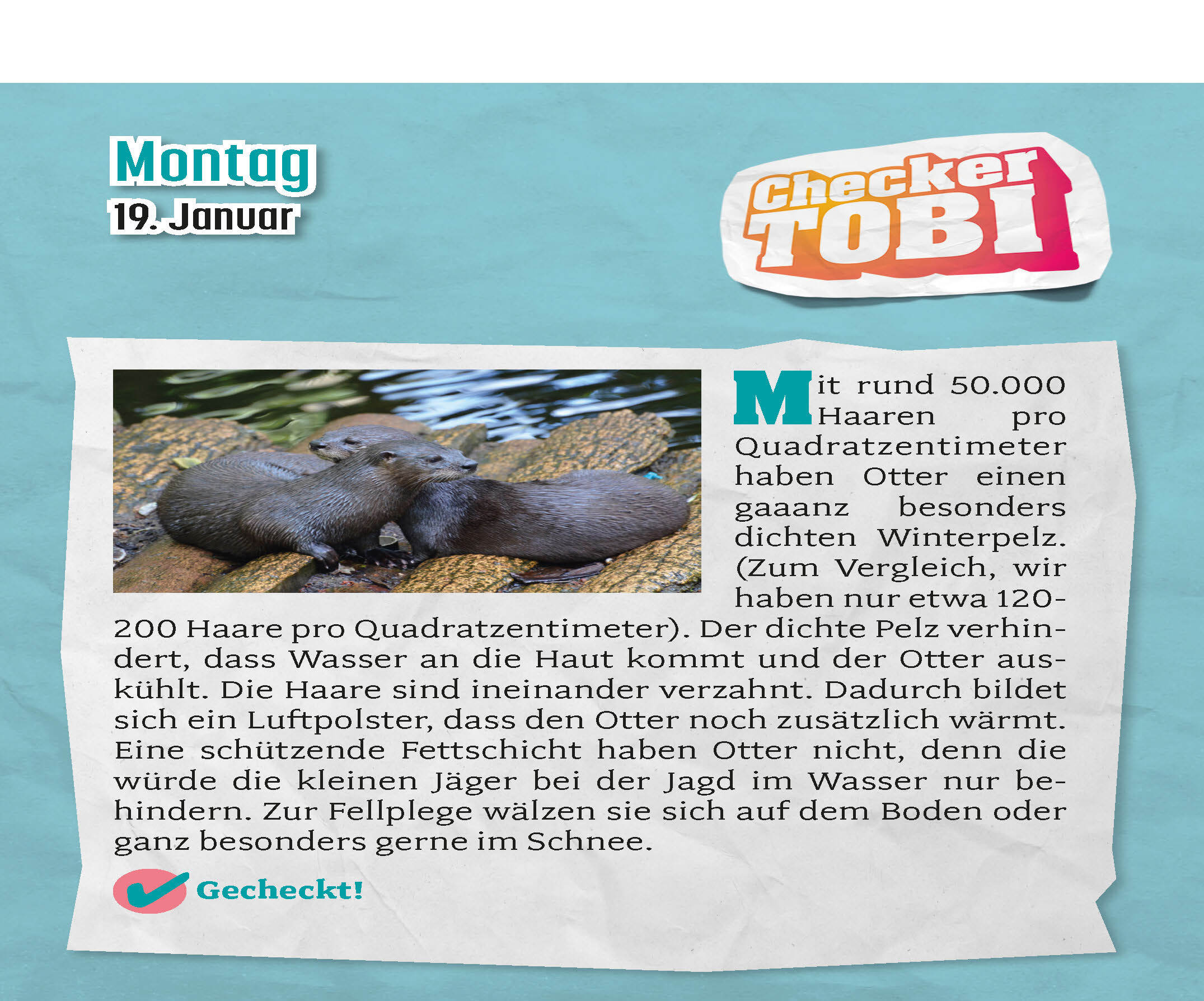 9783517103686_innenansicht_04.jpg