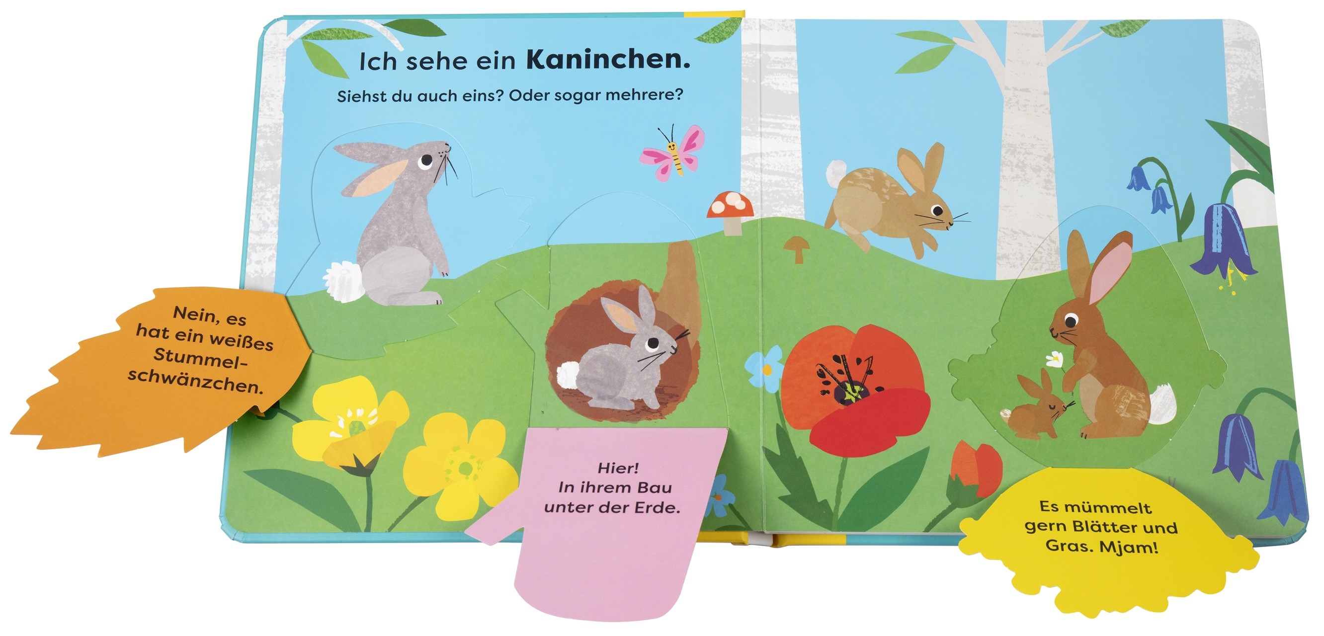 9783831051465_innenansicht_01.jpg