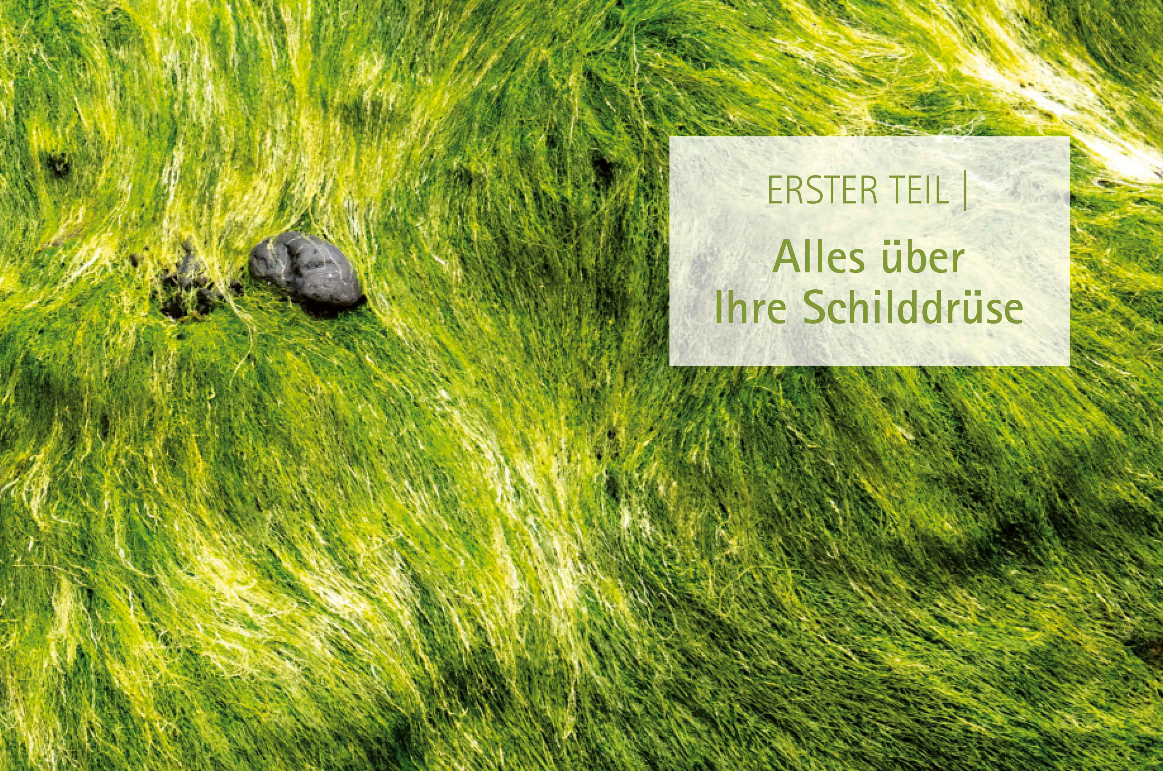 9783442342365_innenansicht_01 9783442342365_innenansicht_01.jpg