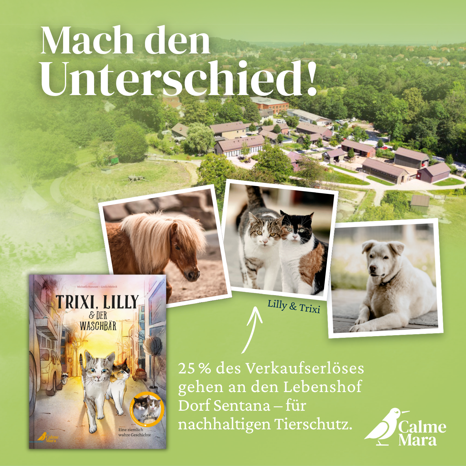 9783948877767_innenansicht_04.png