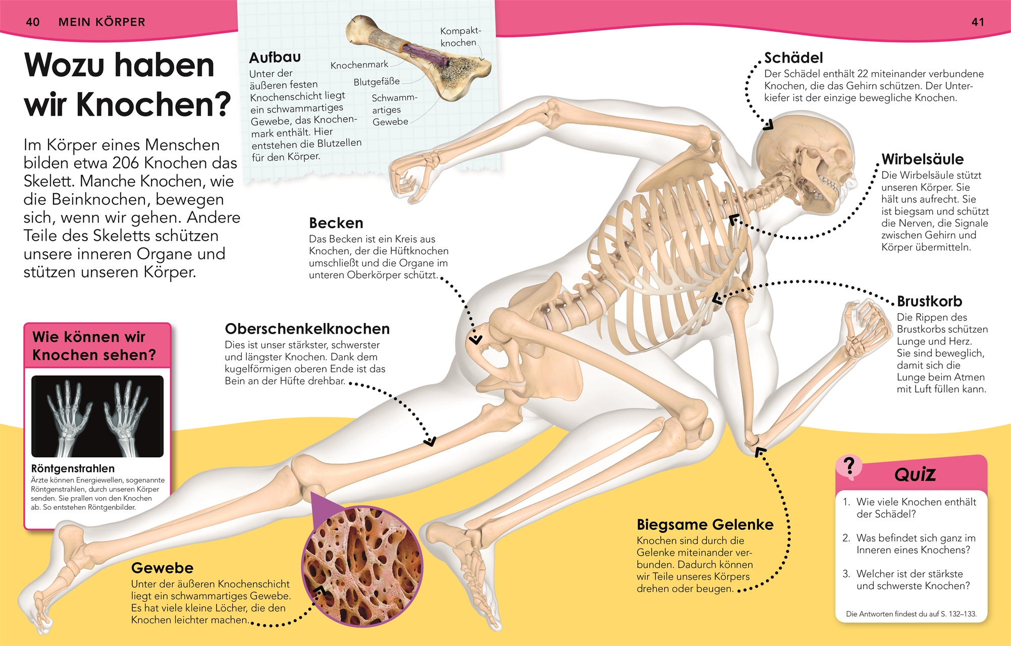 9783831036899_innenansicht_06.jpg