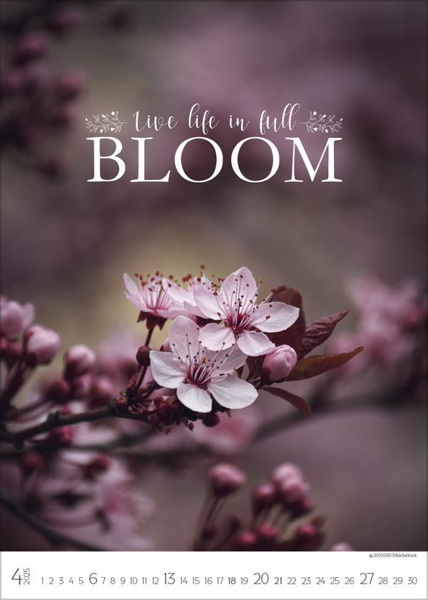 9783731880103_innenansicht_04 9783731880103_innenansicht_04.jpg