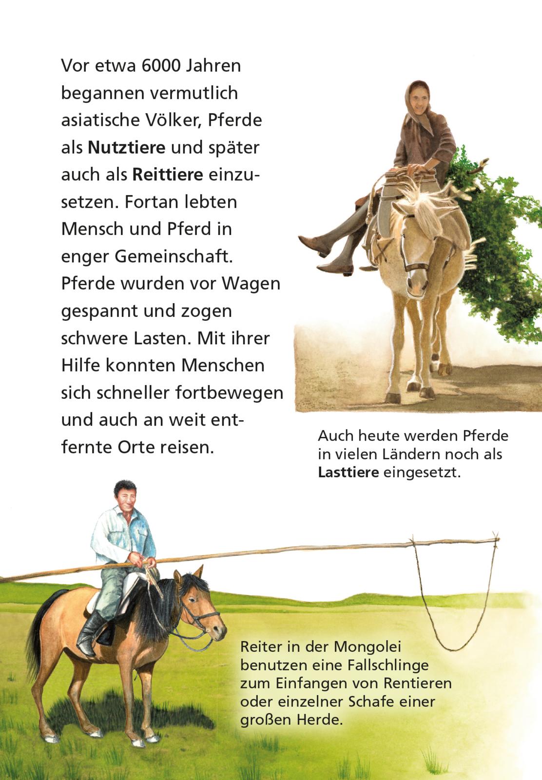 9783551242419_innenansicht_04.jpg