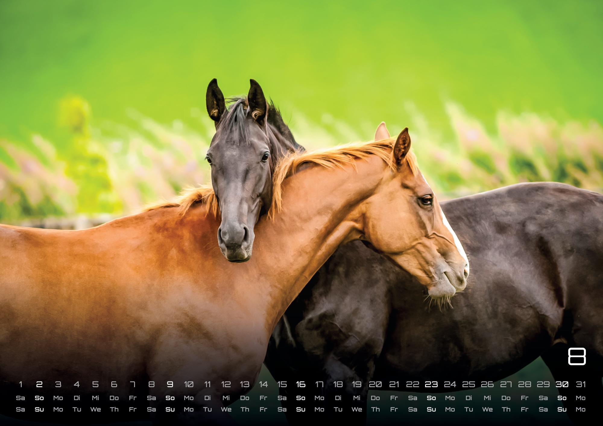 9783986735647_innenansicht_08 9783986735647_innenansicht_08.jpg