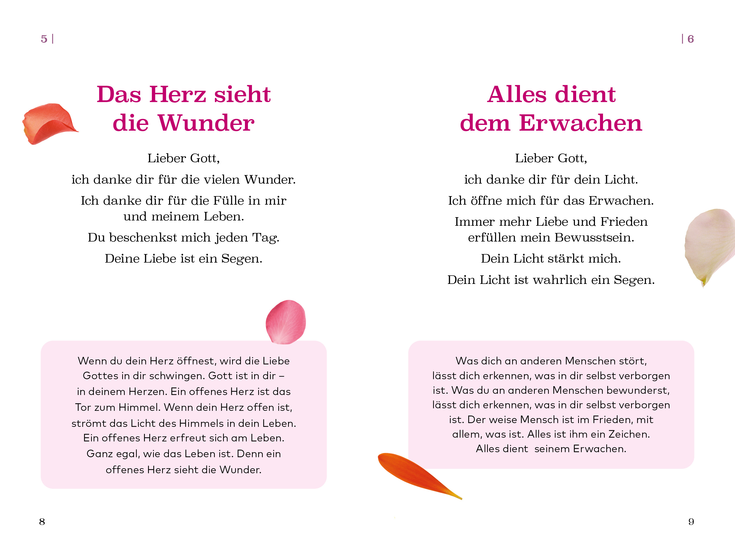 9783987630118_innenansicht_02.jpg
