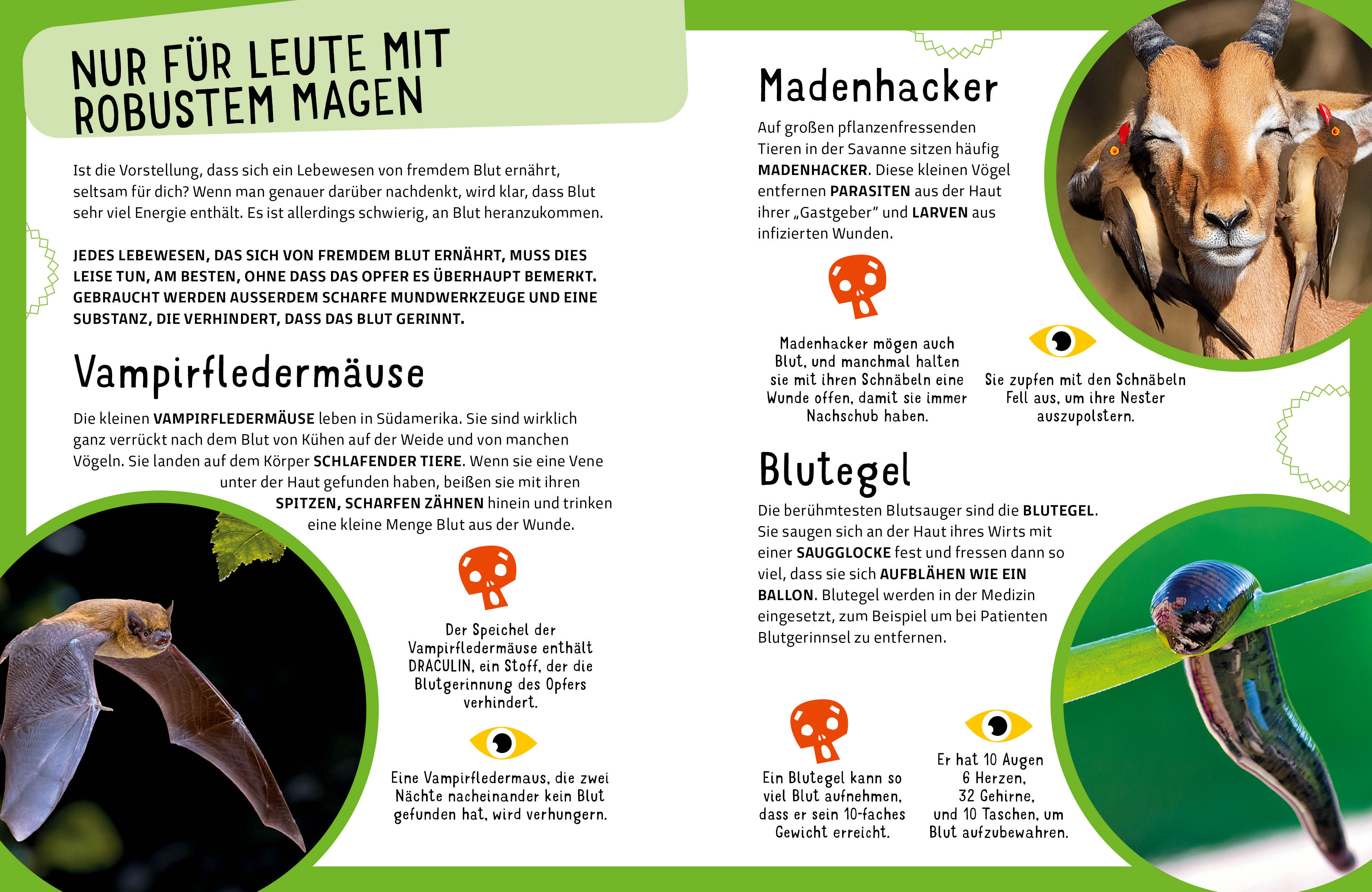 9788863127119_innenansicht_09.jpg