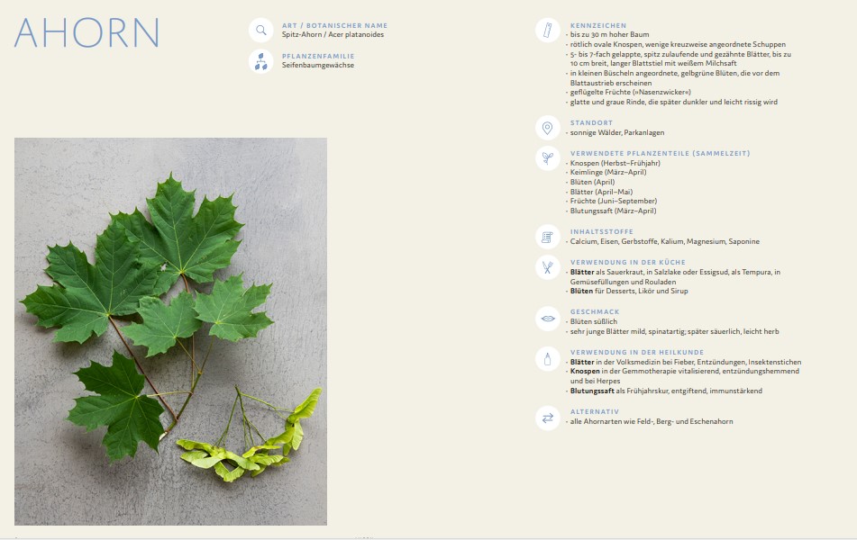 9783747206584_innenansicht_03 9783747206584_innenansicht_03.jpg