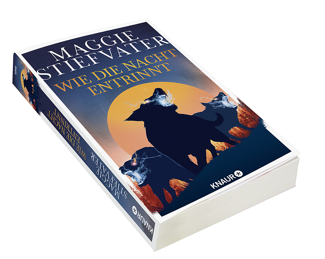 9783426529492_innenansicht_01 9783426529492_innenansicht_01.jpg