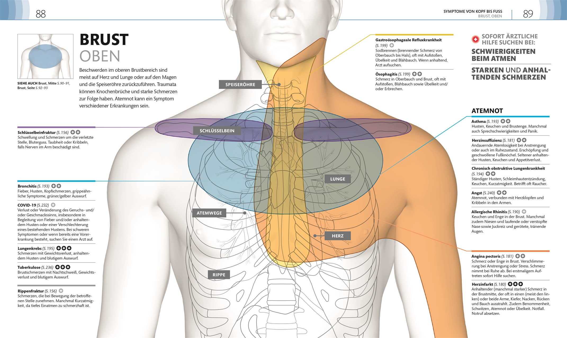 9783831046911_innenansicht_05 9783831046911_innenansicht_05.jpg