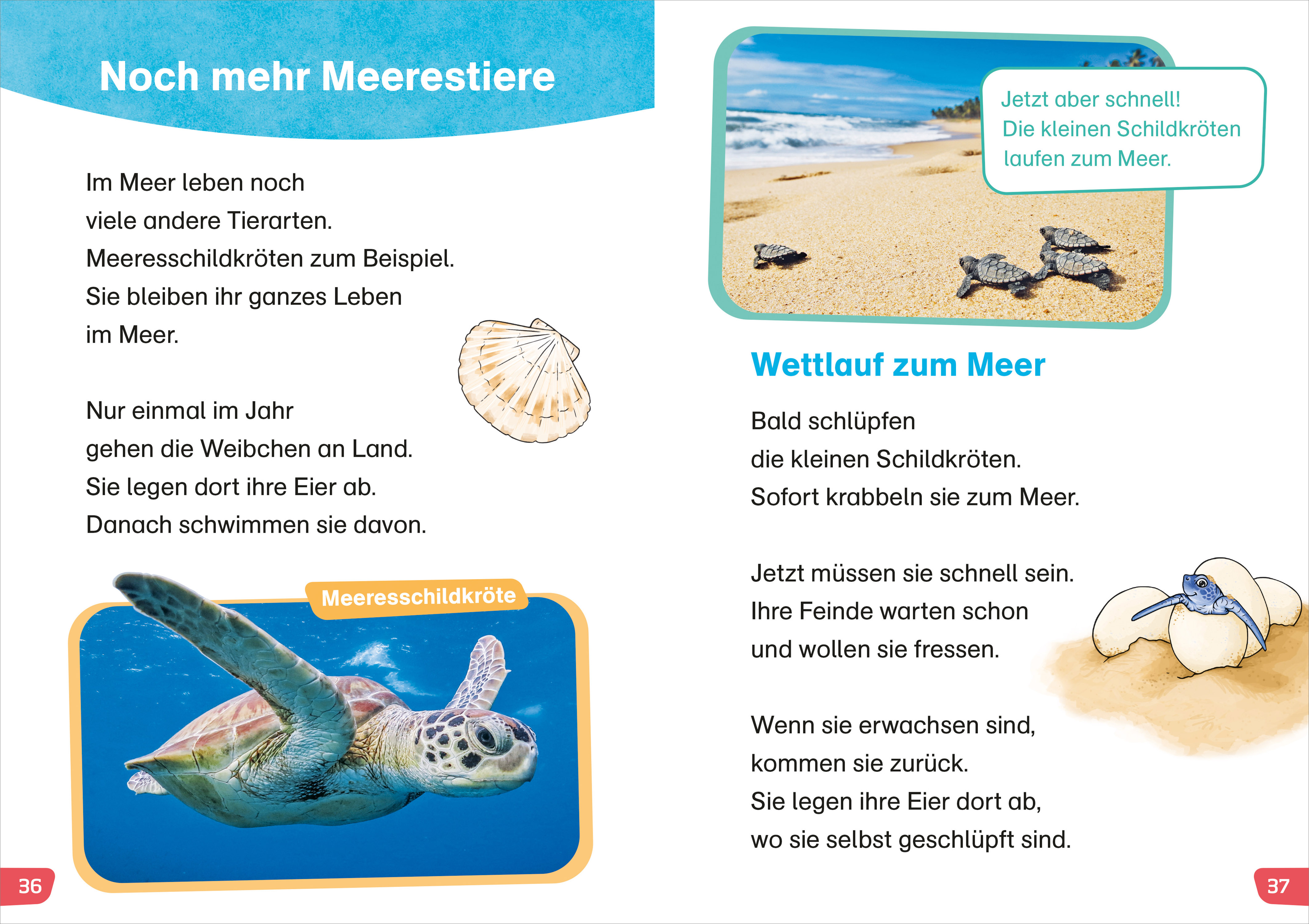 9783788677480_innenansicht_03 9783788677480_innenansicht_03.jpg