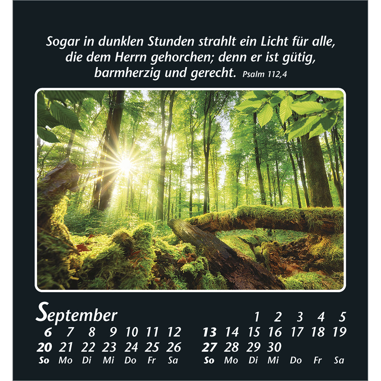 9783754880067_innenansicht_09 9783754880067_innenansicht_09.jpg