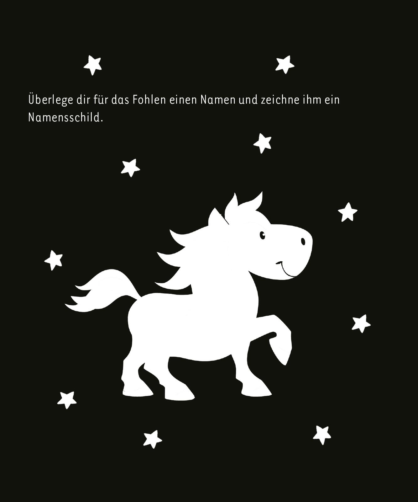 9783845862446_innenansicht_03.jpg