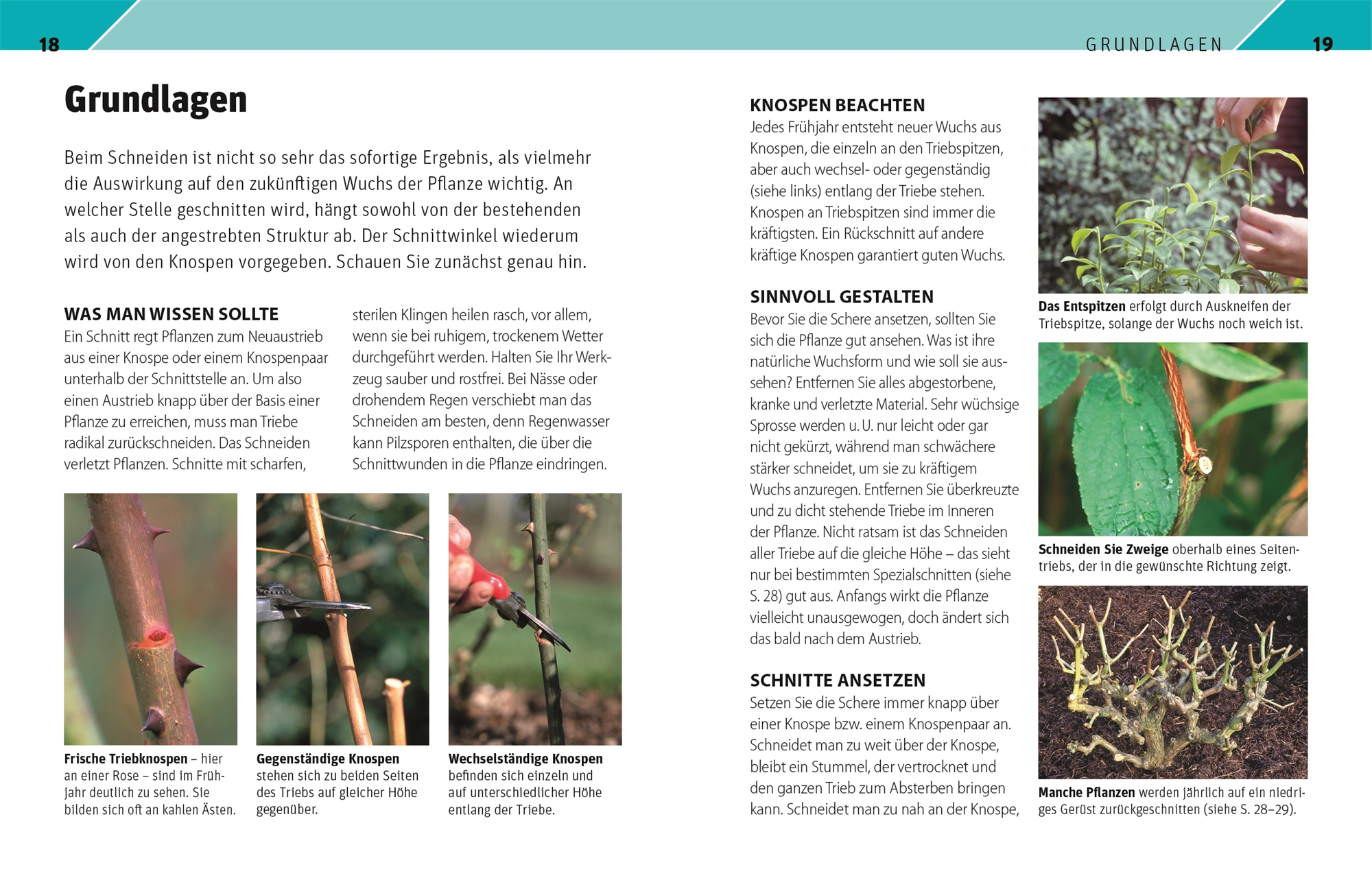 9783831042647_innenansicht_03 9783831042647_innenansicht_03.jpg