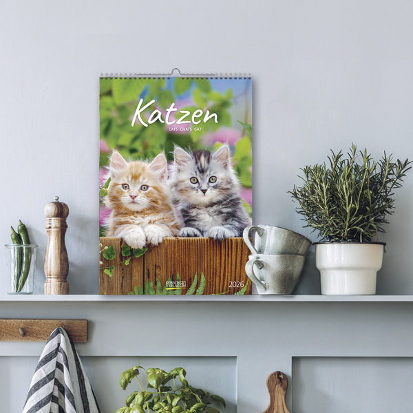 9783731883609_innenansicht_13 9783731883609_innenansicht_13.jpg