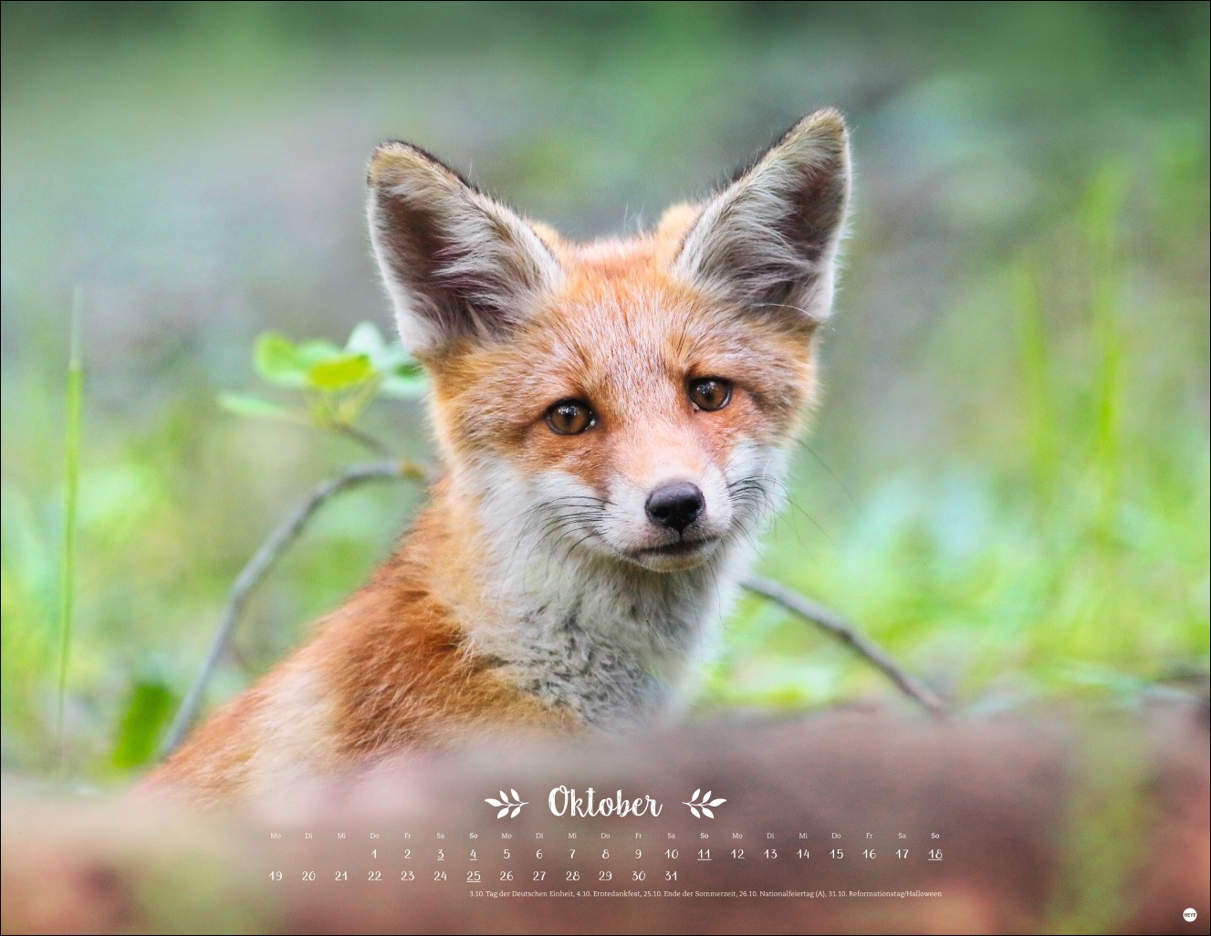 9783756411672_innenansicht_10 9783756411672_innenansicht_10.jpg