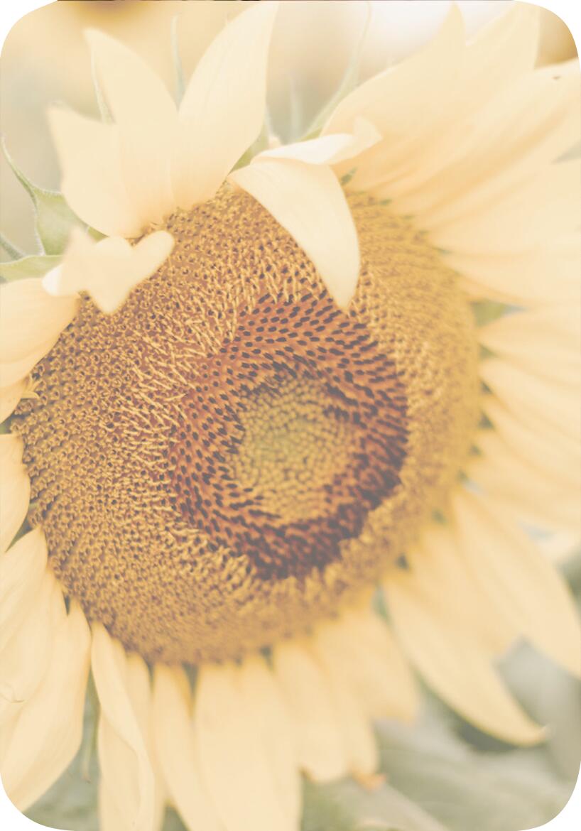 9783845854359_innenansicht_04 9783845854359_innenansicht_04.jpg