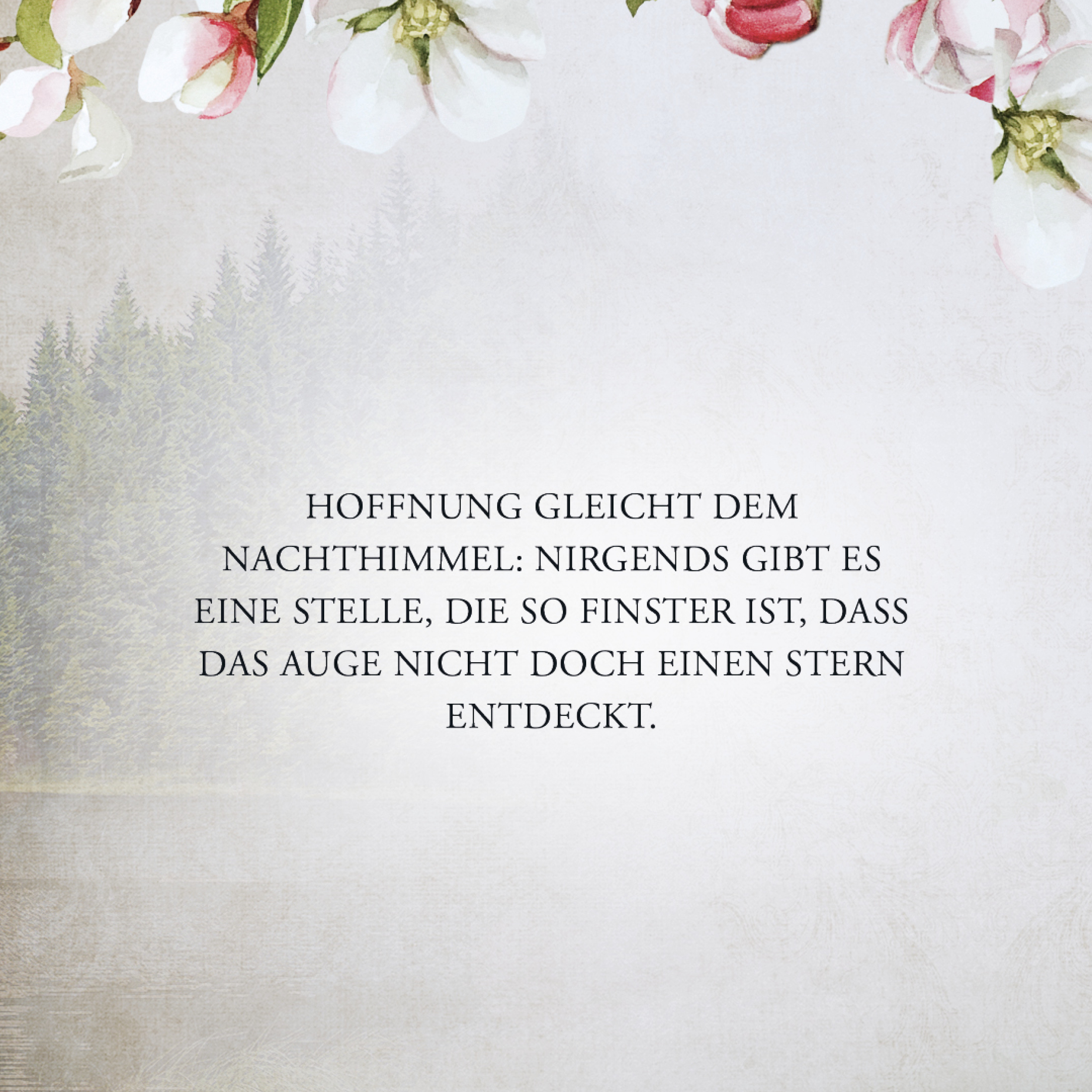 9783986600129_innenansicht_03.jpg