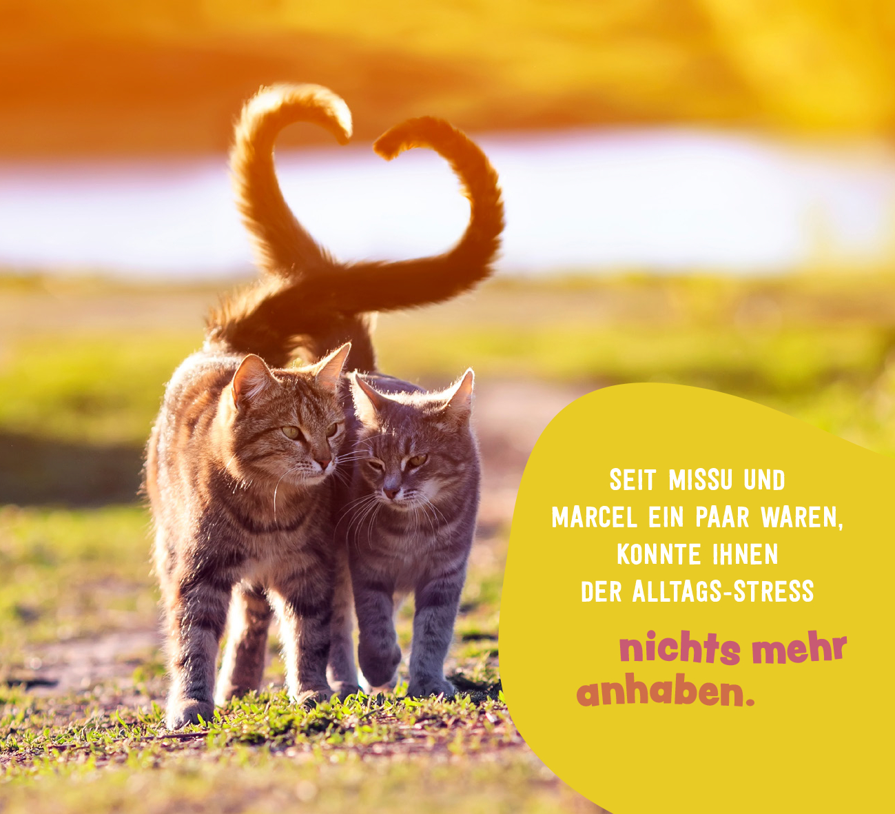 9783848502813_innenansicht_06.jpg