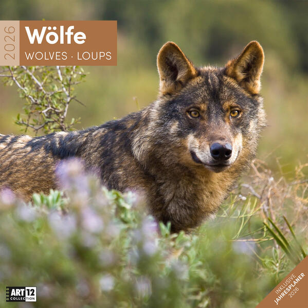 9783838446233 9783838446233