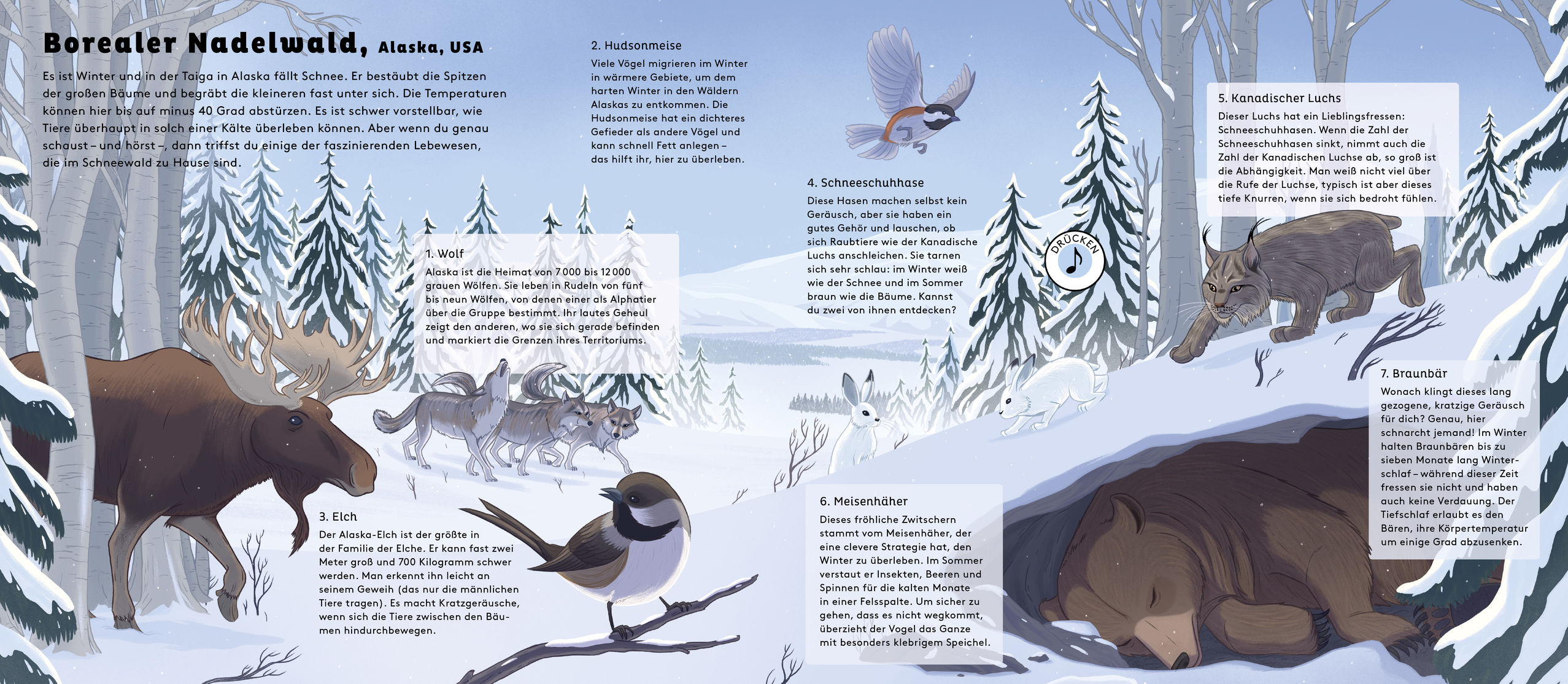 9783791374383_innenansicht_03 9783791374383_innenansicht_03.jpg