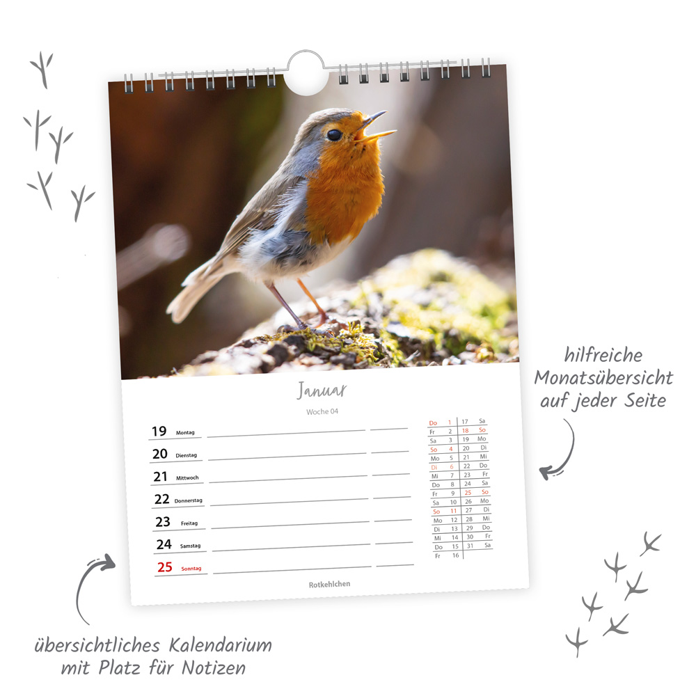 9783988024374_innenansicht_02 9783988024374_innenansicht_02.jpg