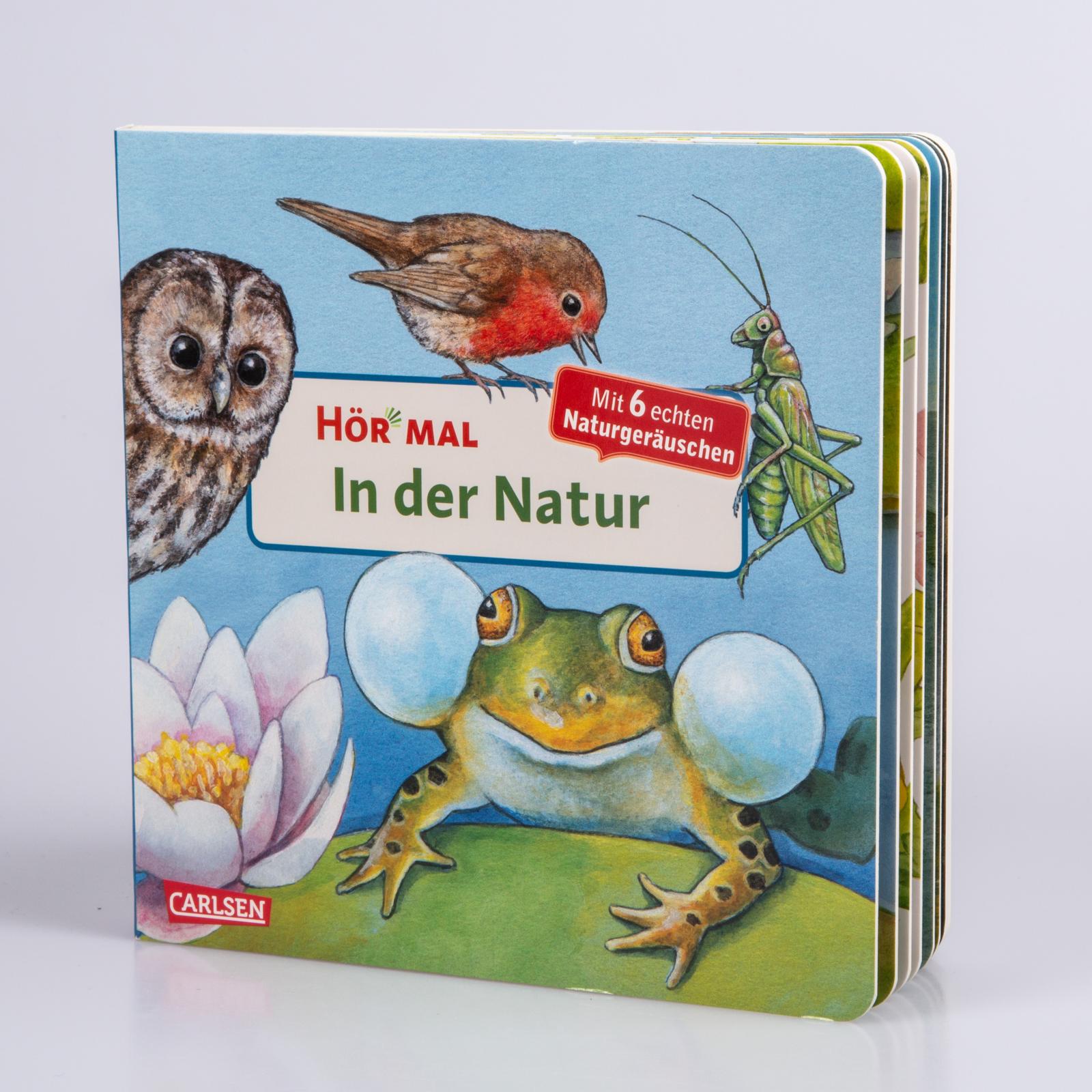 9783551250049_innenansicht_01.jpg