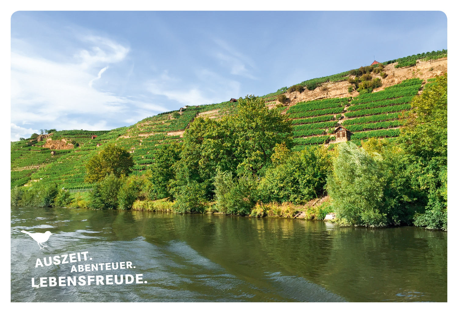 9783770180790_innenansicht_01 9783770180790_innenansicht_01.jpg