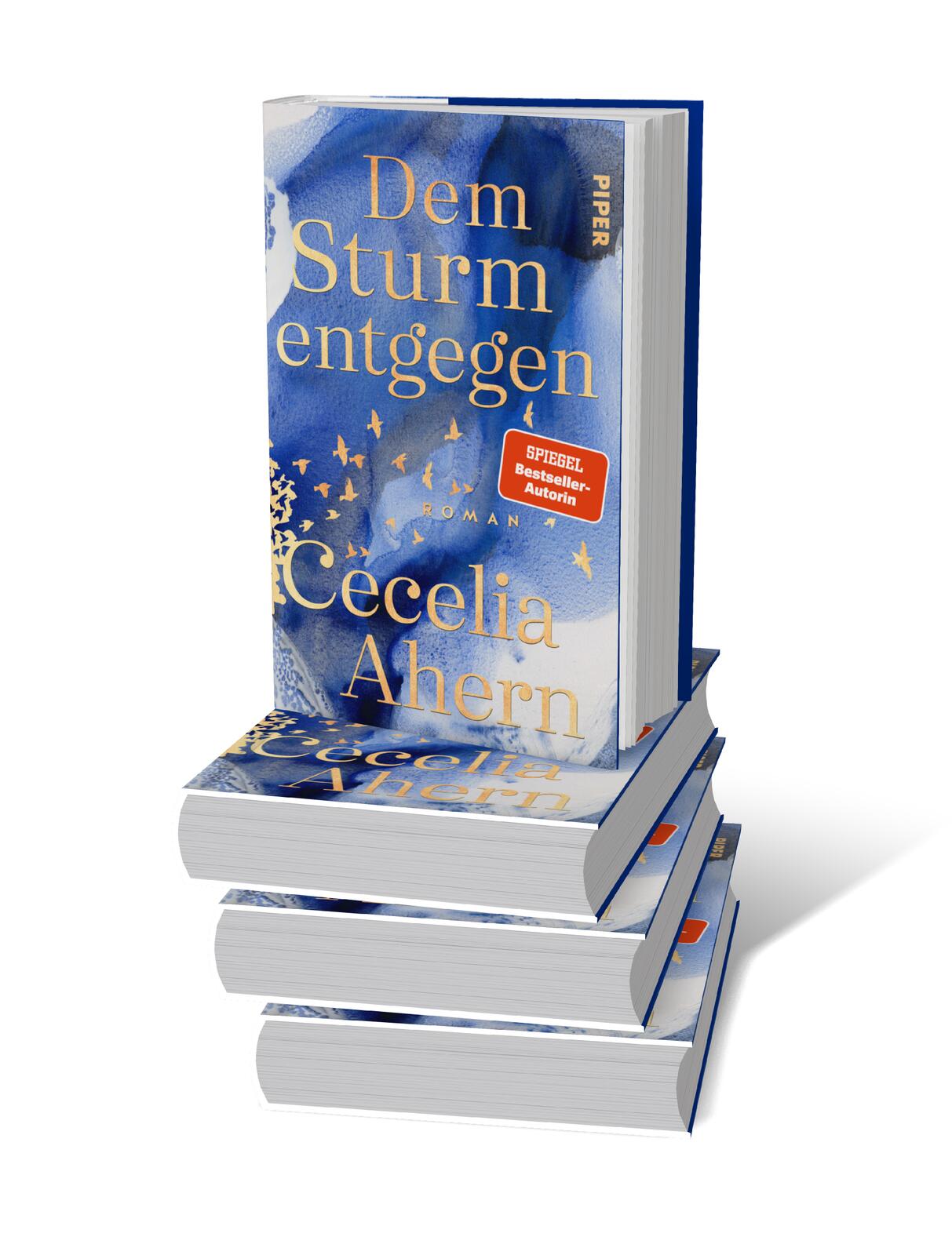 9783492071819_innenansicht_04.jpg