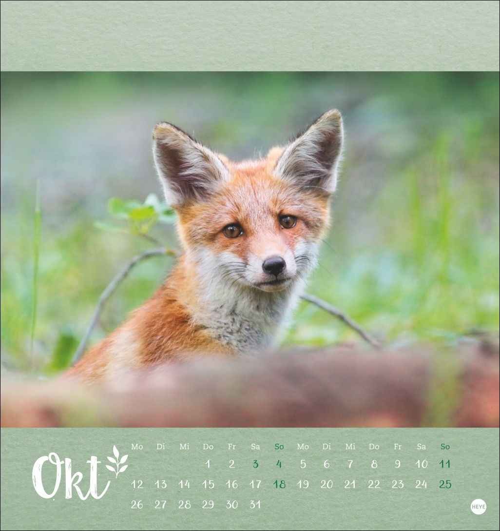 9783756411689_innenansicht_10 9783756411689_innenansicht_10.jpg