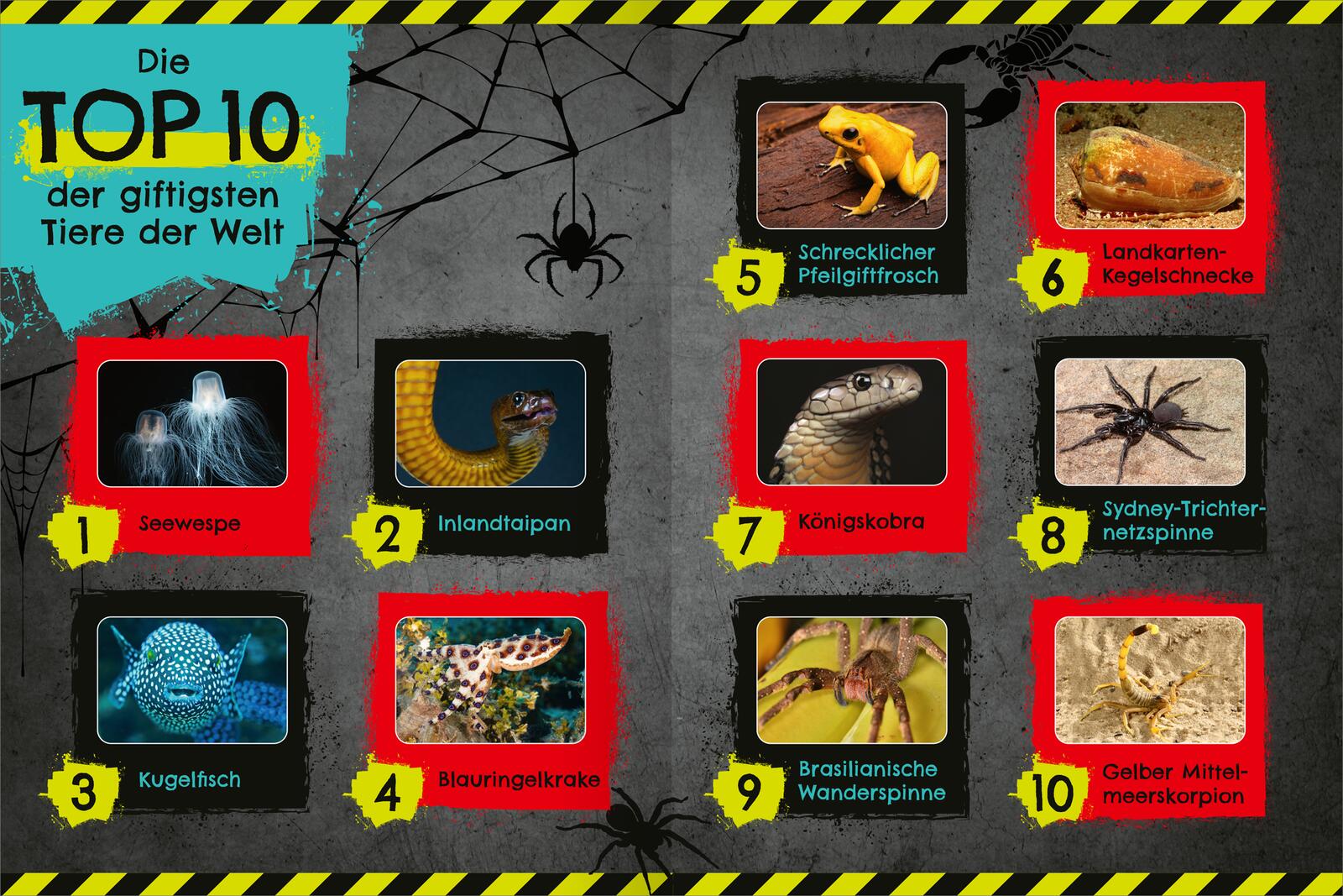 9783845859231_innenansicht_01 9783845859231_innenansicht_01.jpg