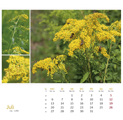 9783861925163_innenansicht_07 9783861925163_innenansicht_07.jpg