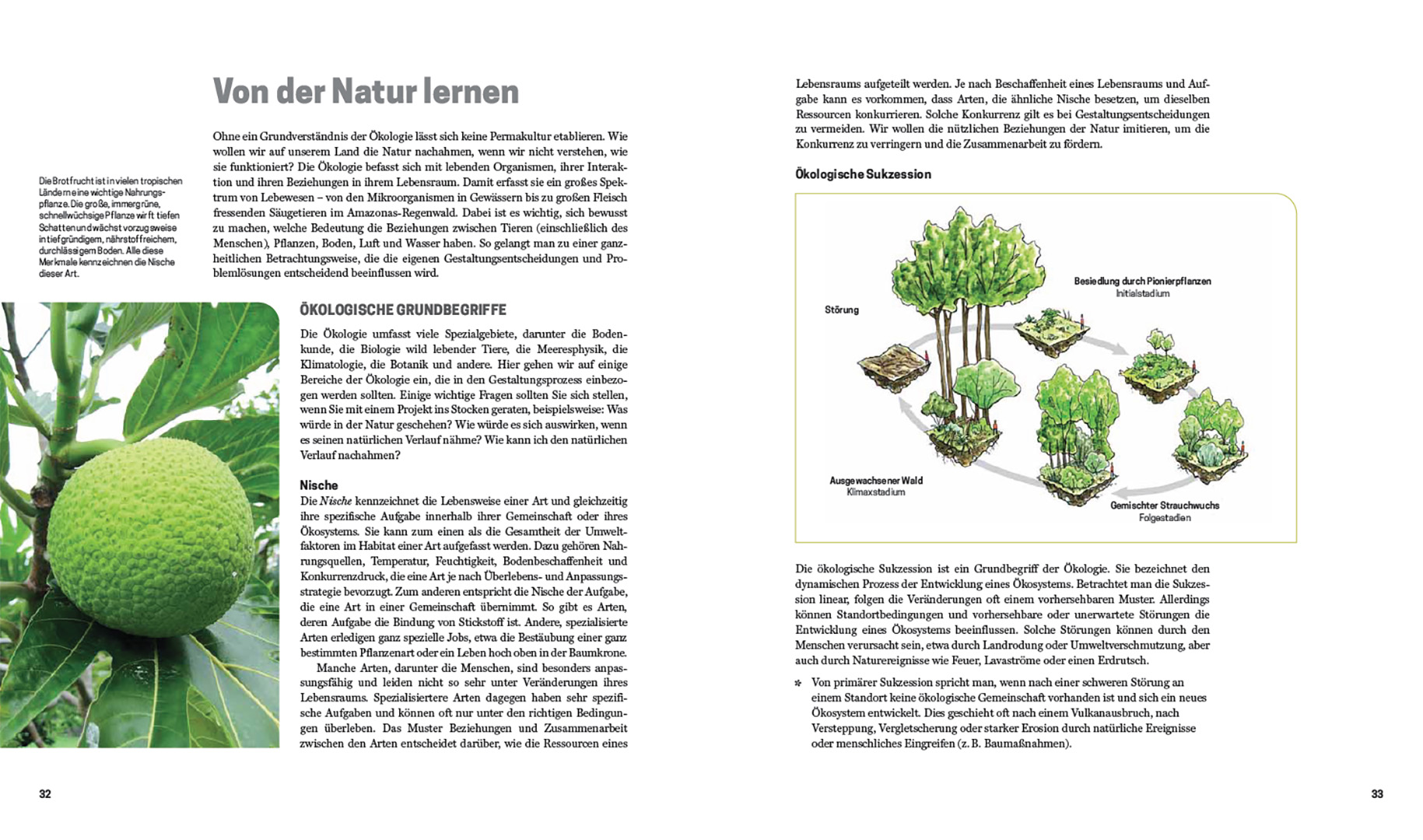 9783258083650_innenansicht_02.jpg