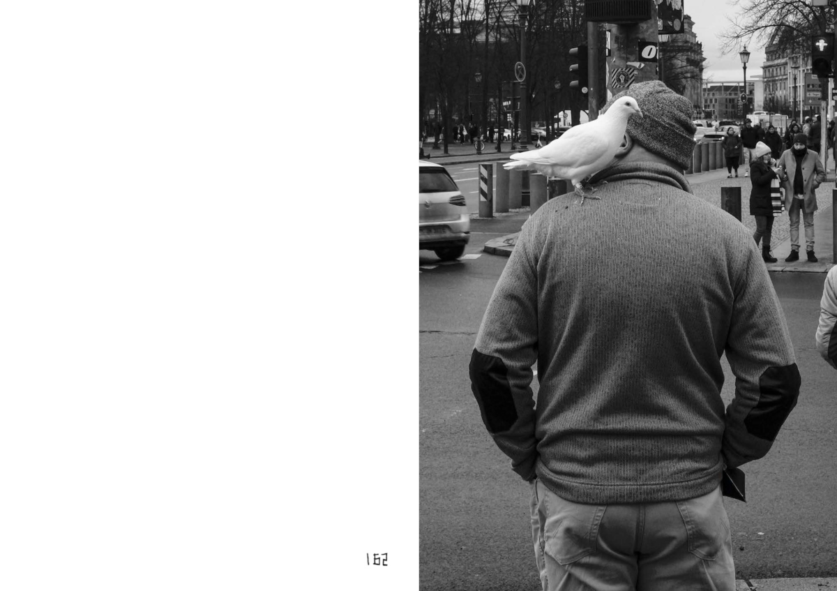 9783775753111_innenansicht_11 9783775753111_innenansicht_11.jpg