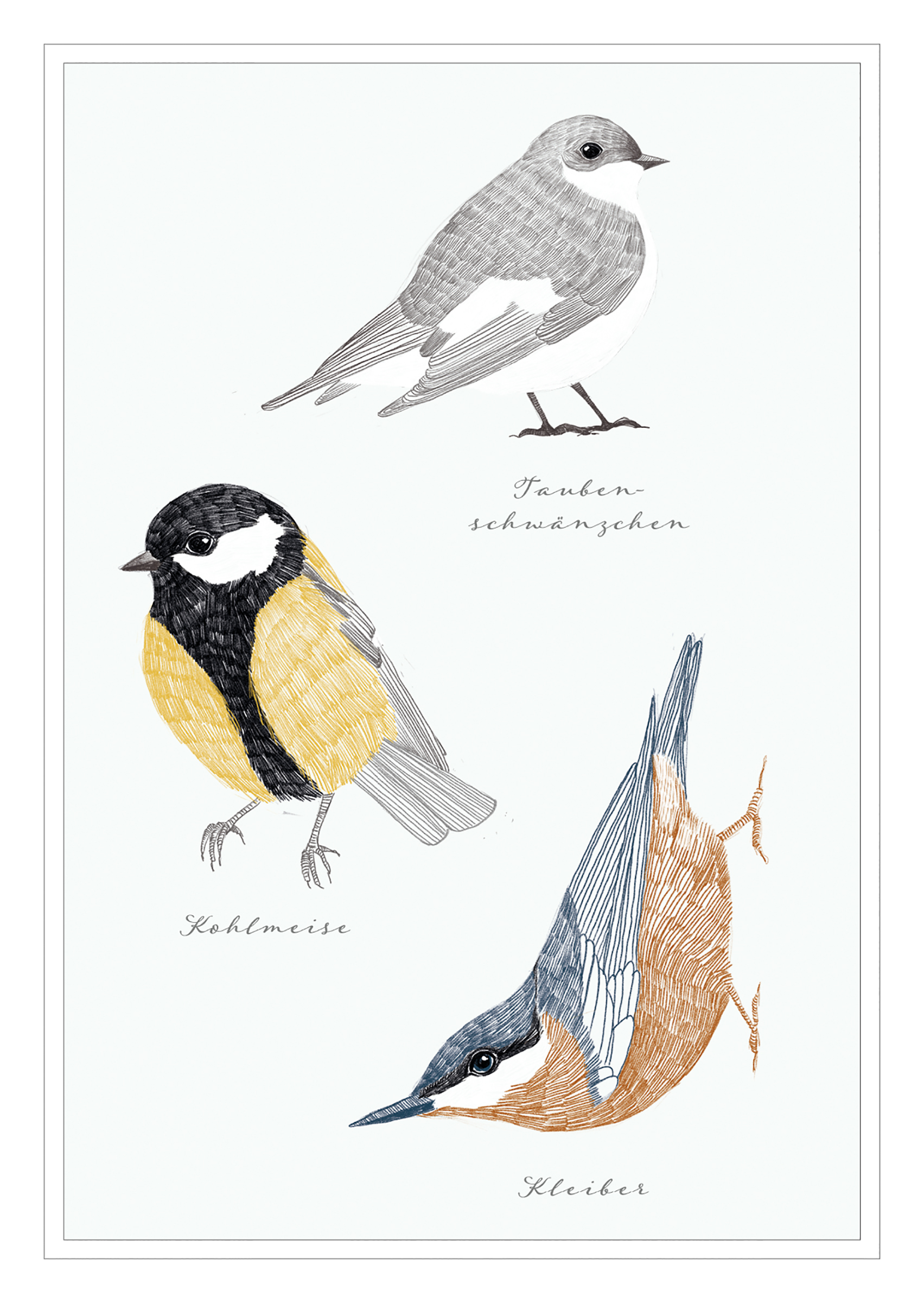 4250222903221_innenansicht_04 4250222903221_innenansicht_04.jpg