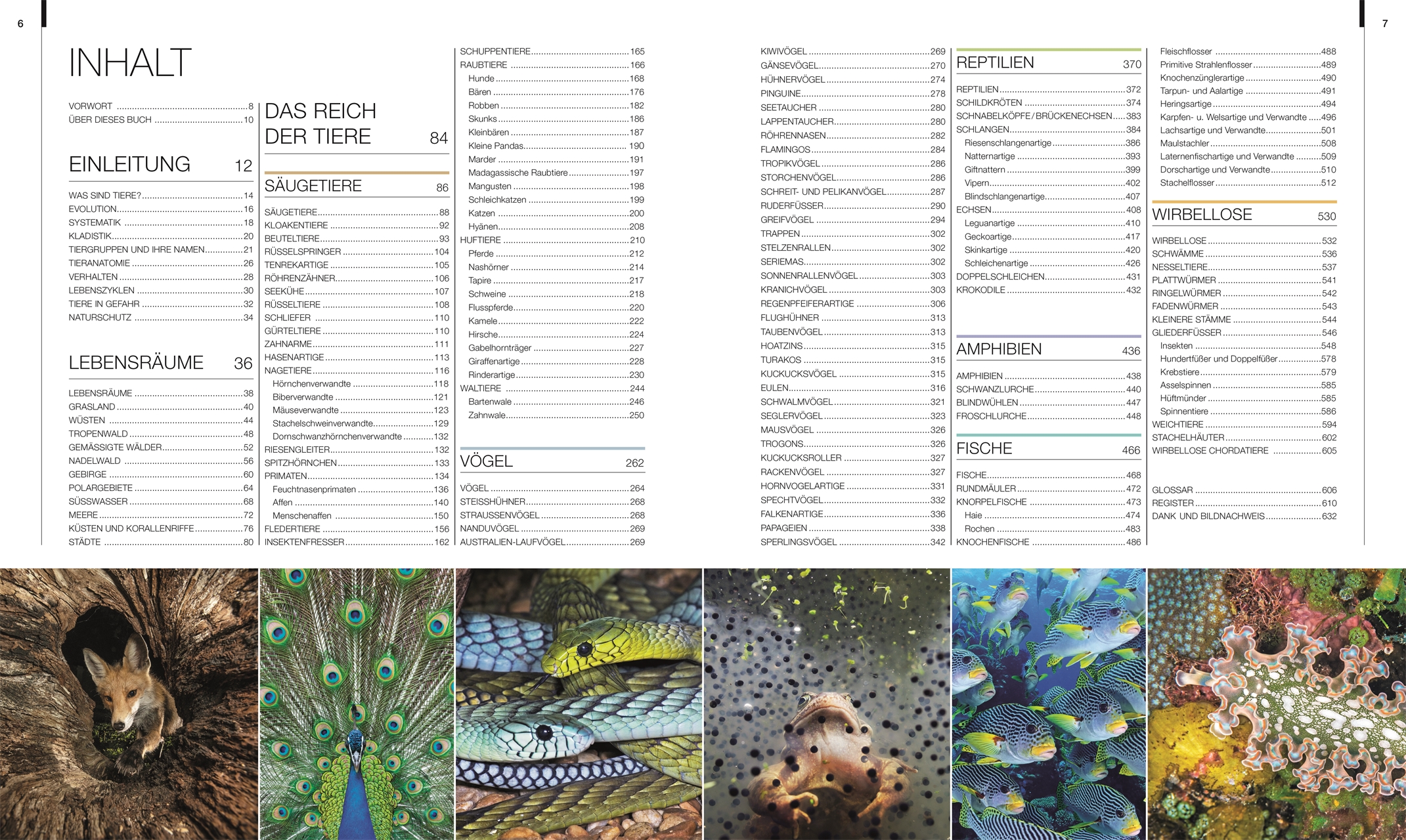 9783831048489_innenansicht_02 9783831048489_innenansicht_02.jpg