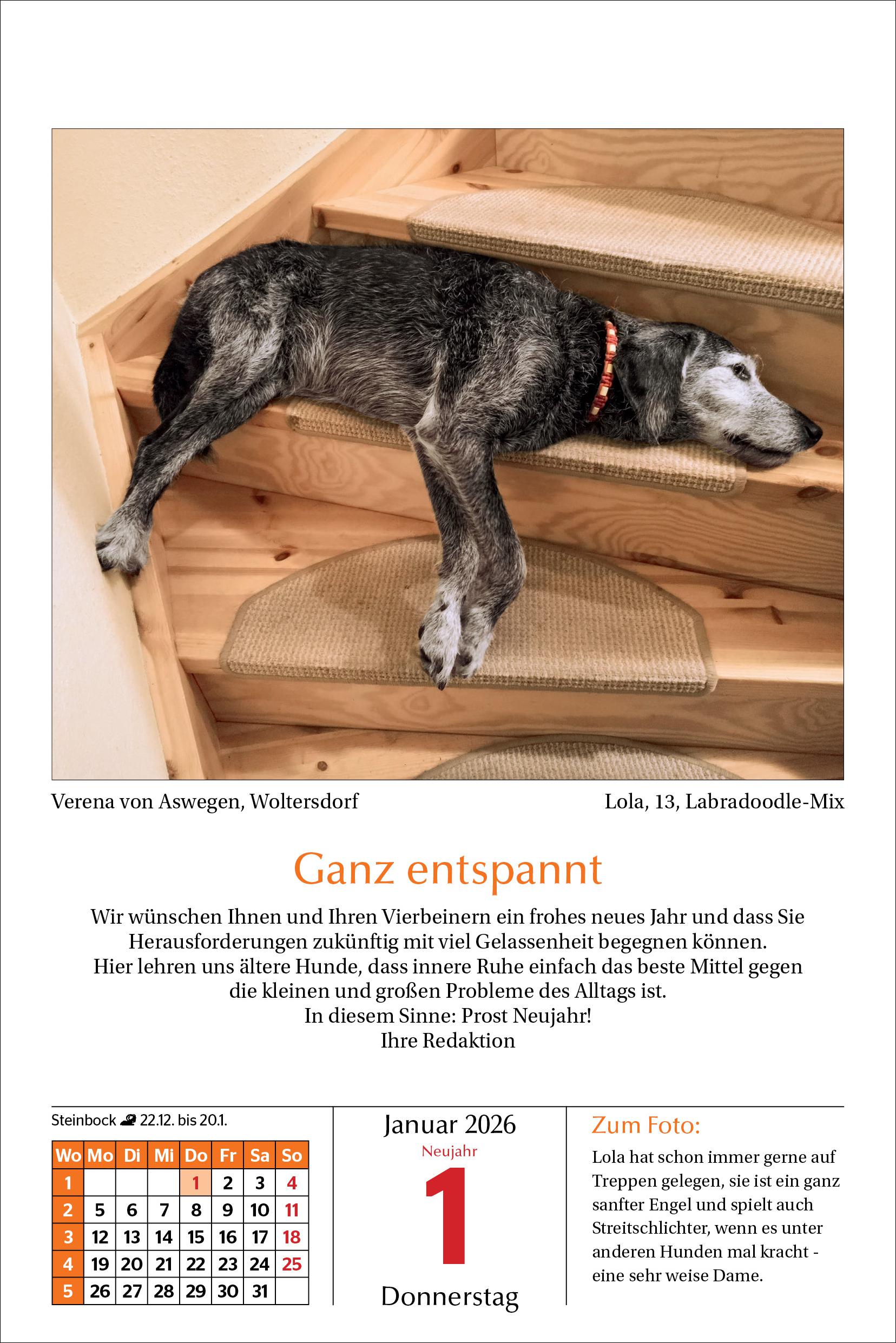 9783865171771_innenansicht_01.jpg