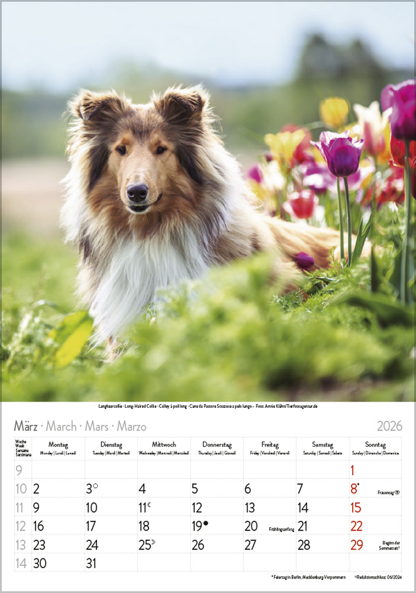 9783731883616_innenansicht_03 9783731883616_innenansicht_03.jpg