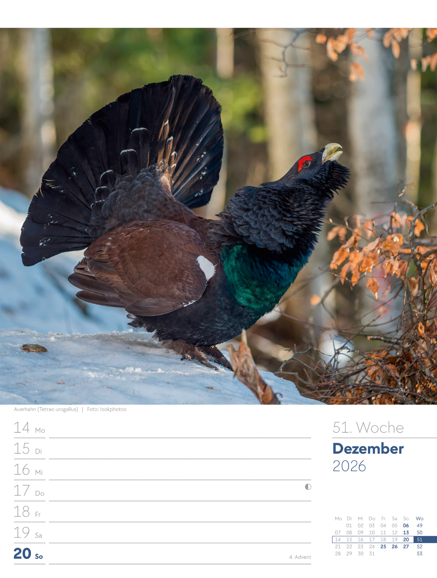 9783838436029_innenansicht_54 9783838436029_innenansicht_54.jpg