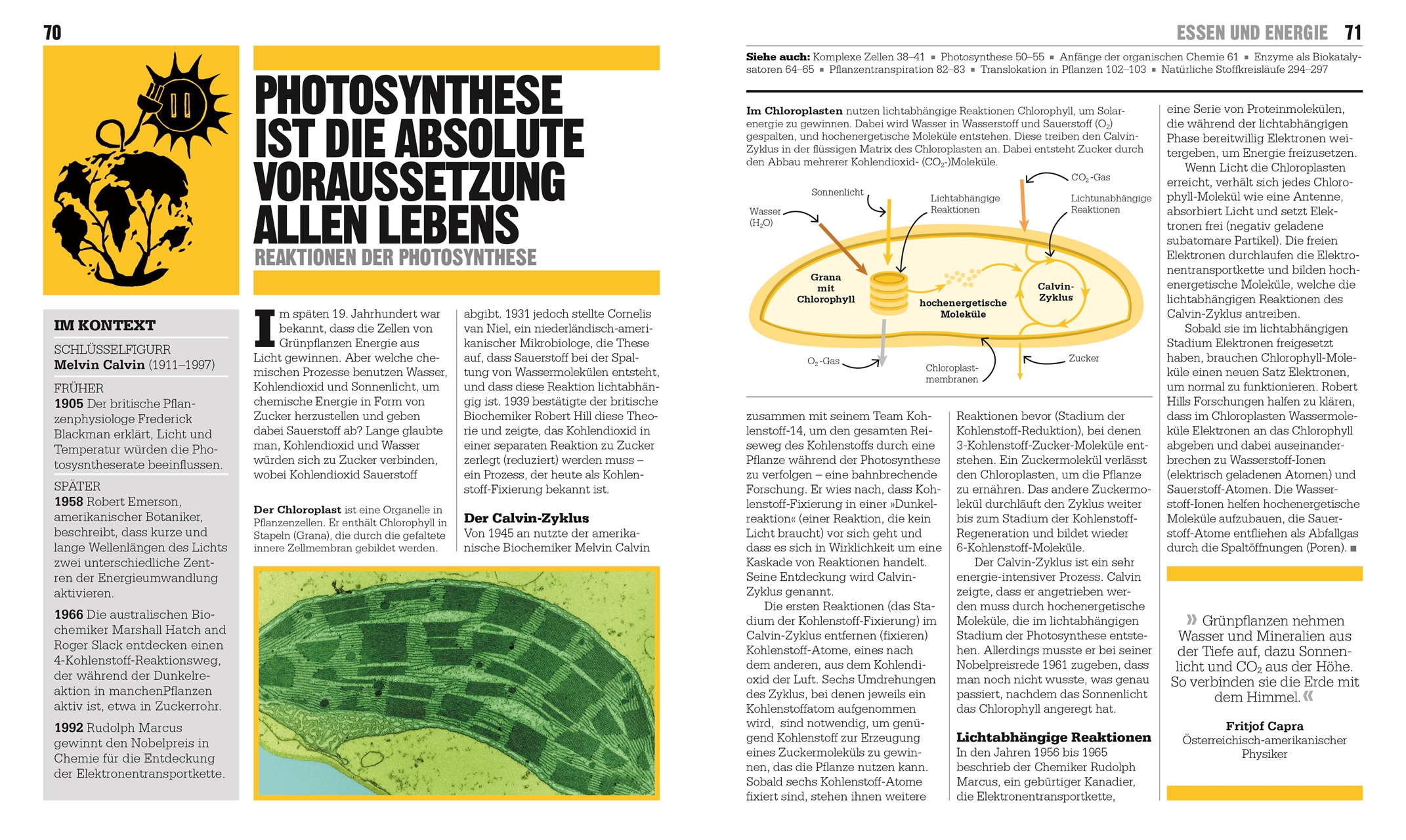 9783831045181_innenansicht_04 9783831045181_innenansicht_04.jpg