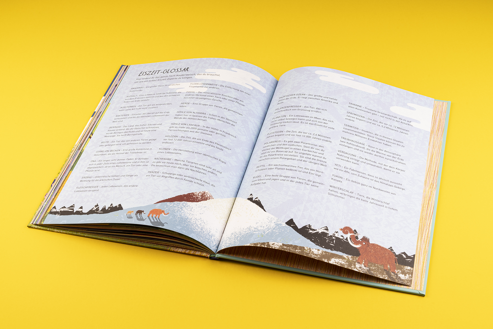 9783865024381_innenansicht_05 9783865024381_innenansicht_05.jpg