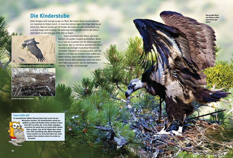 9783866595002_innenansicht_03 9783866595002_innenansicht_03.jpg