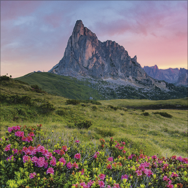 9783731883814_innenansicht_06 9783731883814_innenansicht_06.jpg