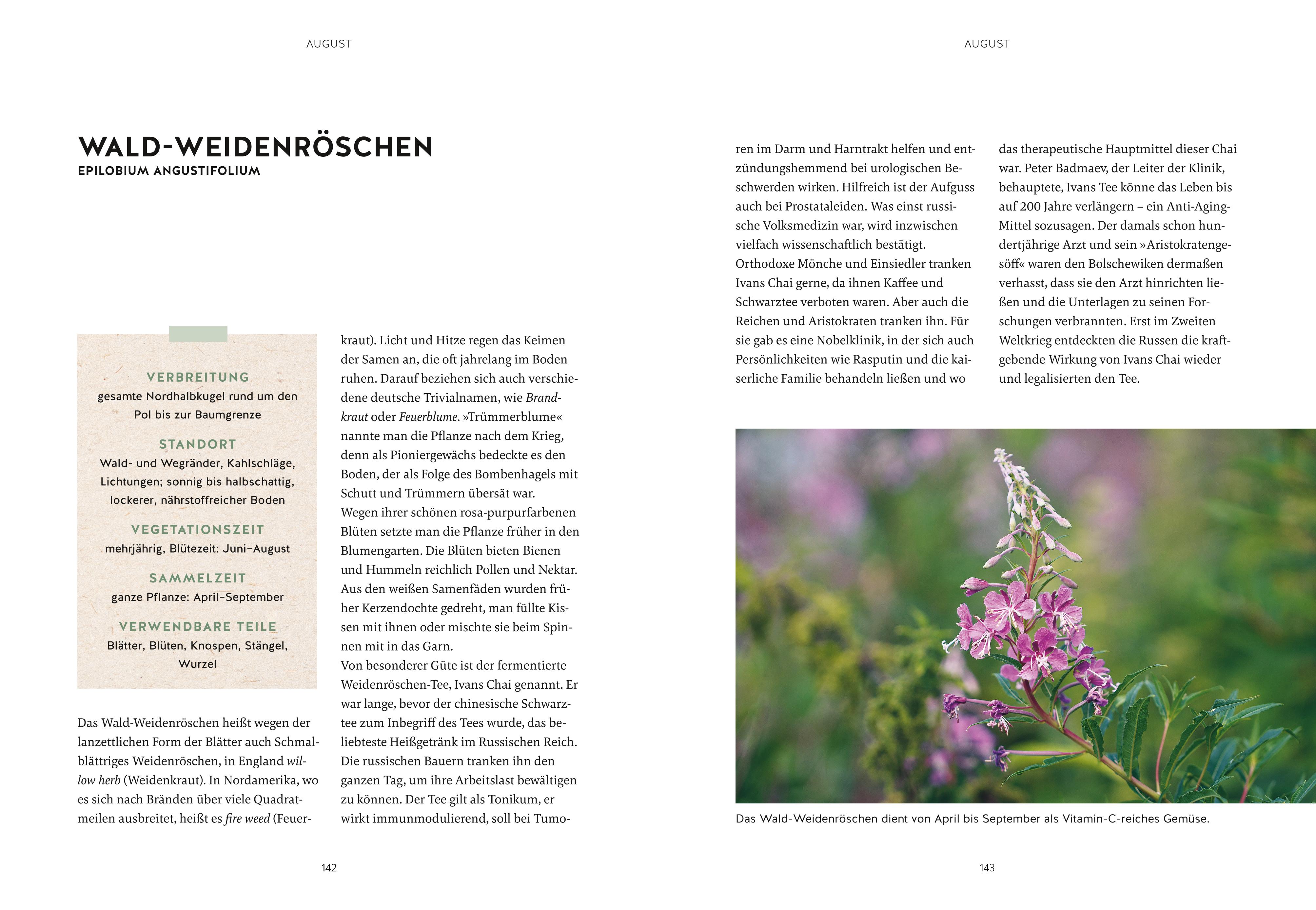 9783833887956_innenansicht_05.jpg