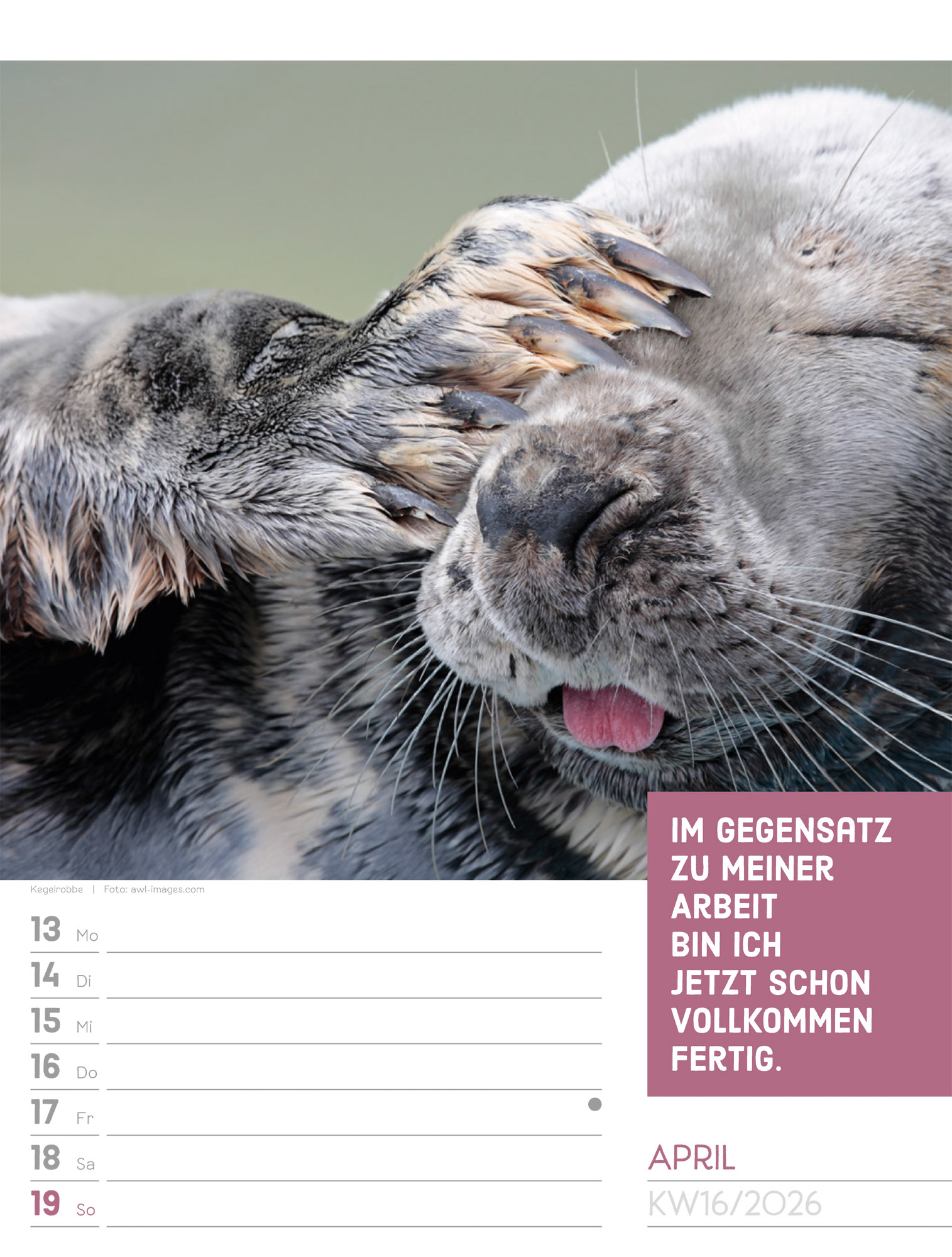 9783838426969_innenansicht_19.jpg
