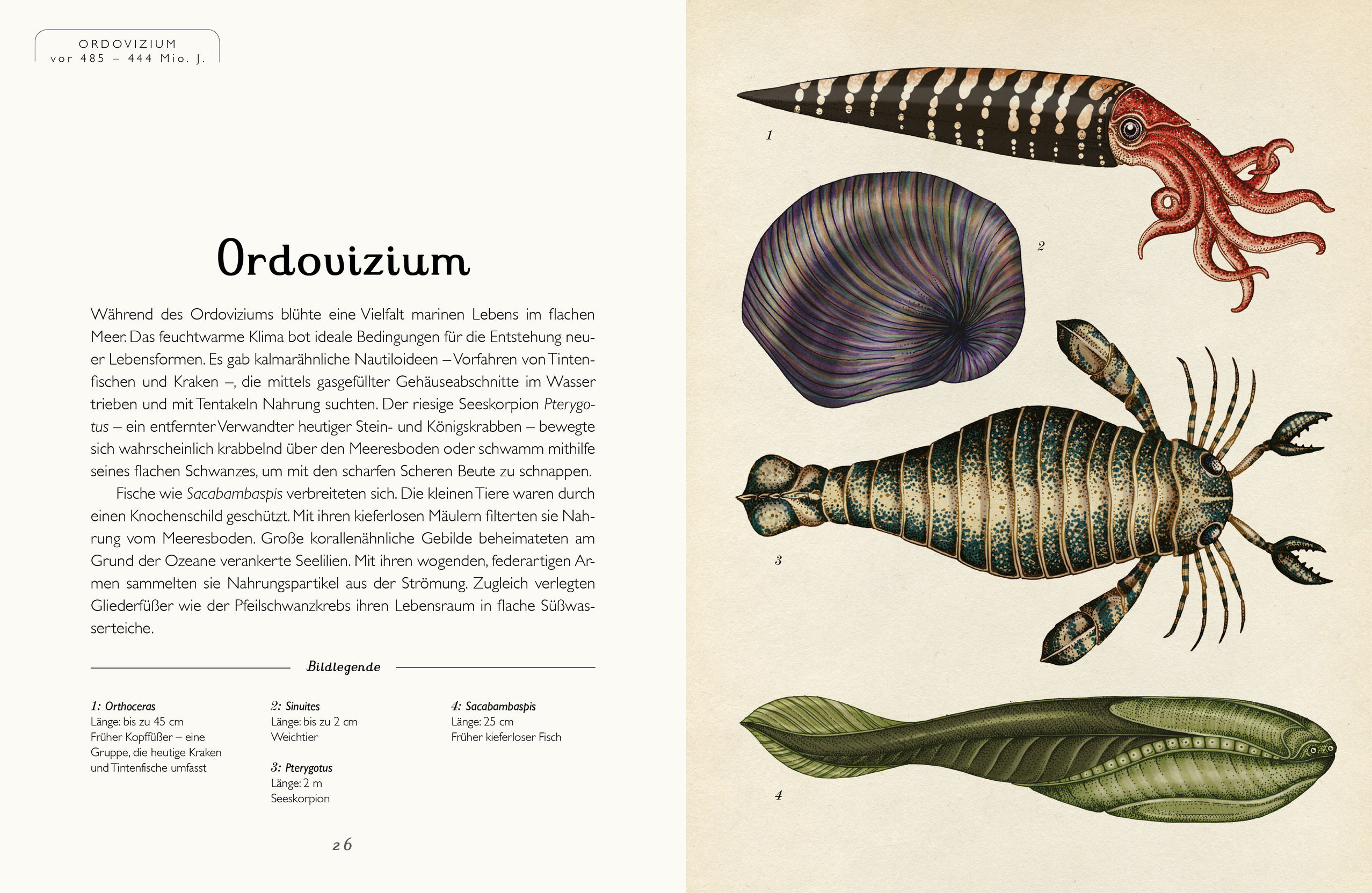 9783791373089_innenansicht_02 9783791373089_innenansicht_02.jpg