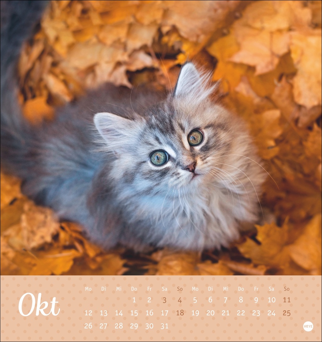 9783756410460_innenansicht_10 9783756410460_innenansicht_10.jpg