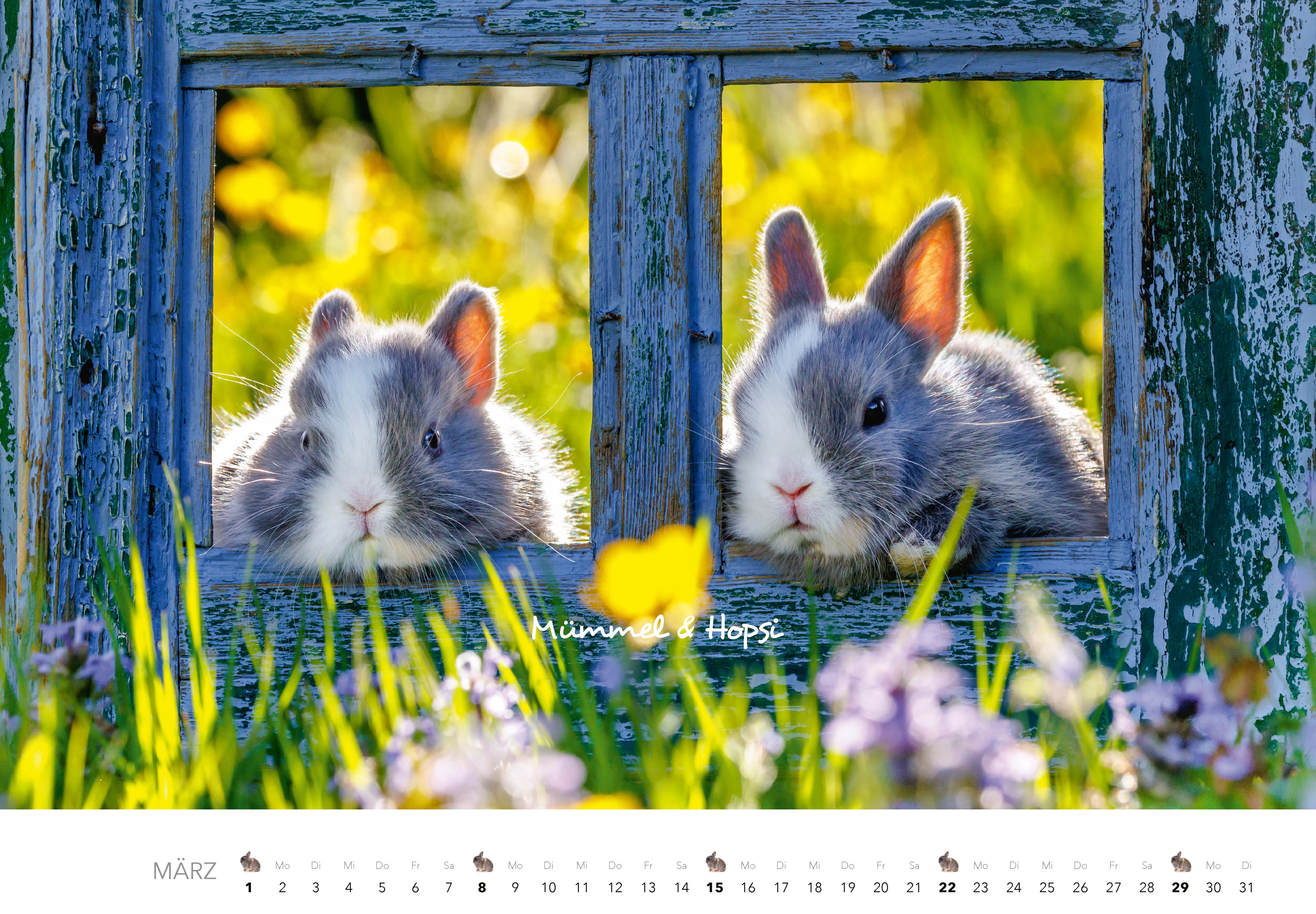 9783966649704_innenansicht_03 9783966649704_innenansicht_03.jpg