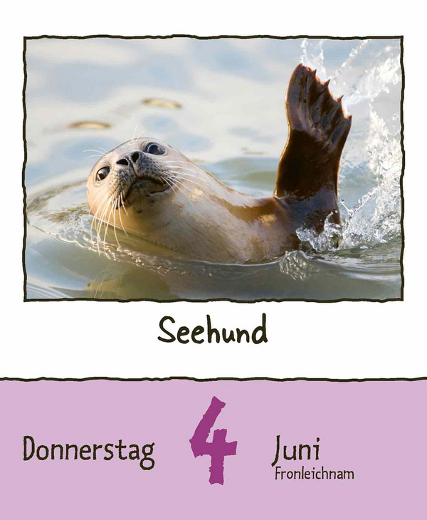 9783731889182_innenansicht_08.jpg