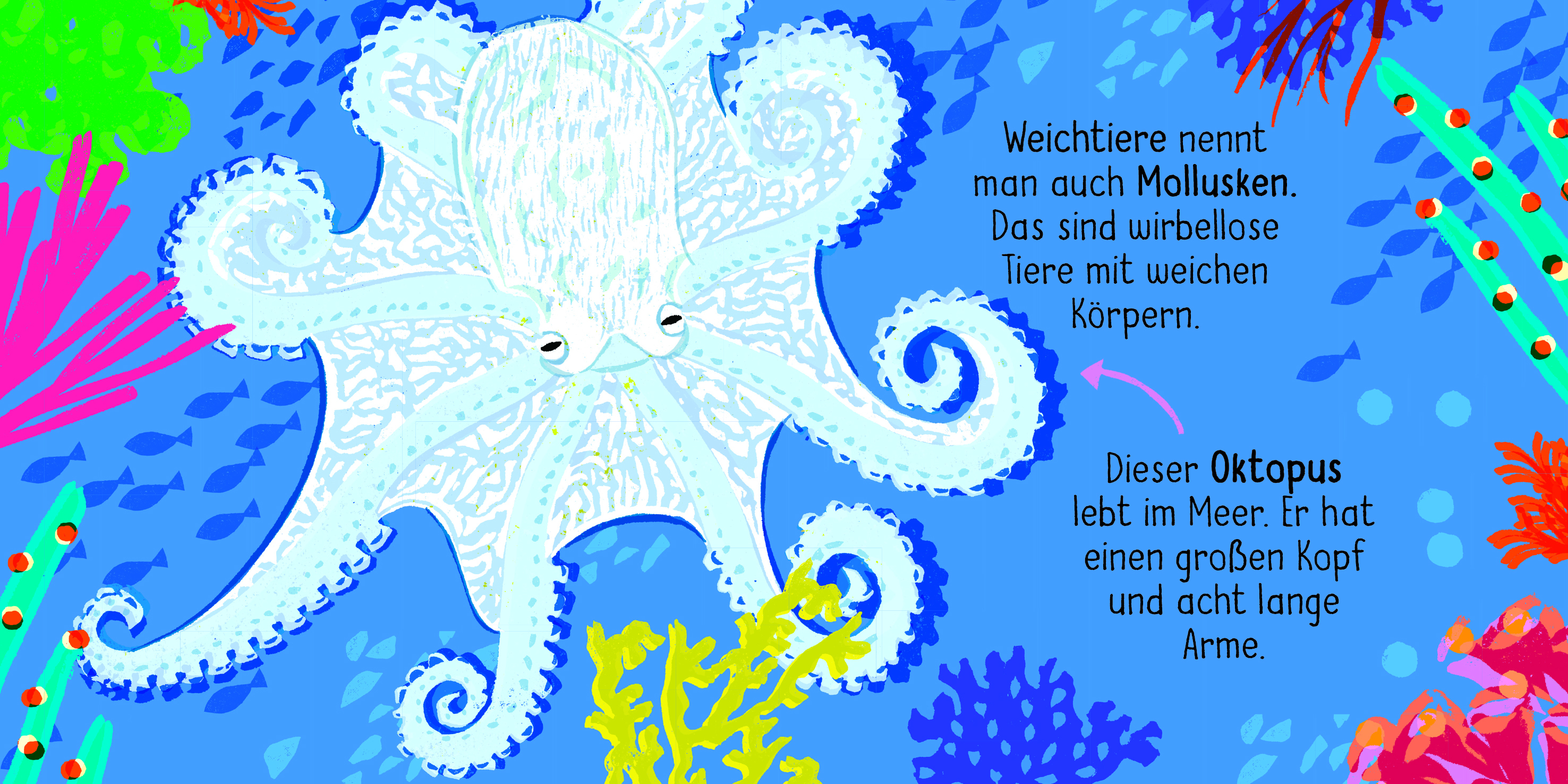 9783411780457_innenansicht_03.jpg