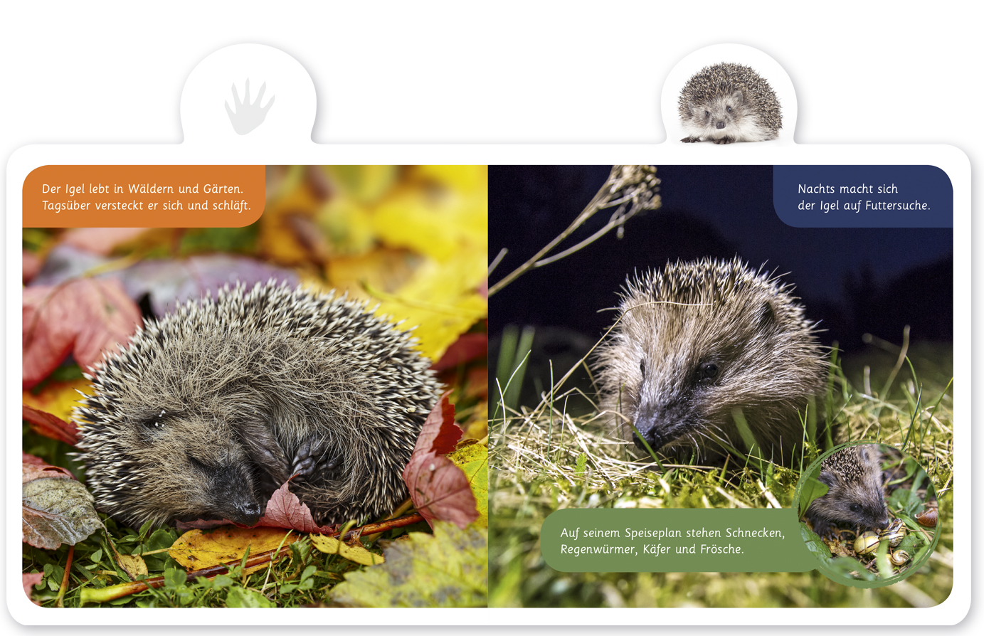 9783946360162_innenansicht_03 9783946360162_innenansicht_03.jpg